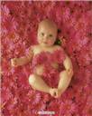 Les filles naissent dans les roses