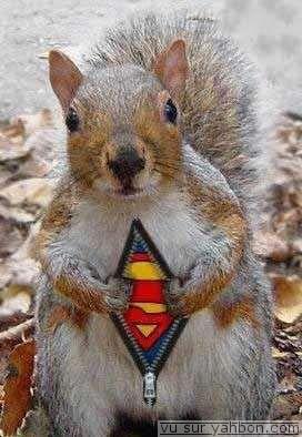 Superman