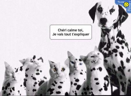 Trop beau