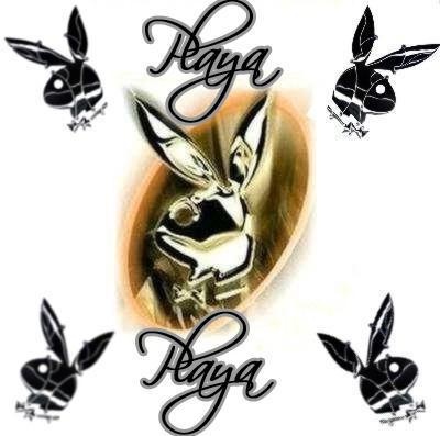 Playa playboy