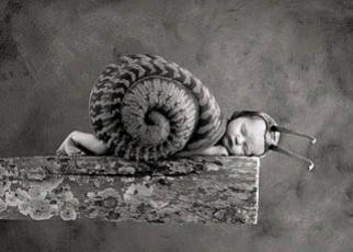 Escargot