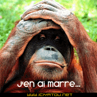 Laches tes commentaires
