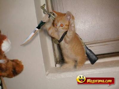 ho les mains