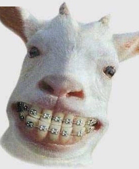 Cheeeeeeeeeeeeeeese