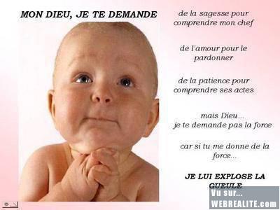 Comme c'est mignon.........