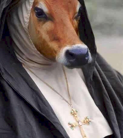 Bonne soeur